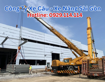 Dịch Vụ Cẩu Hàng TPHCM Uy Tín, Giá Rẻ